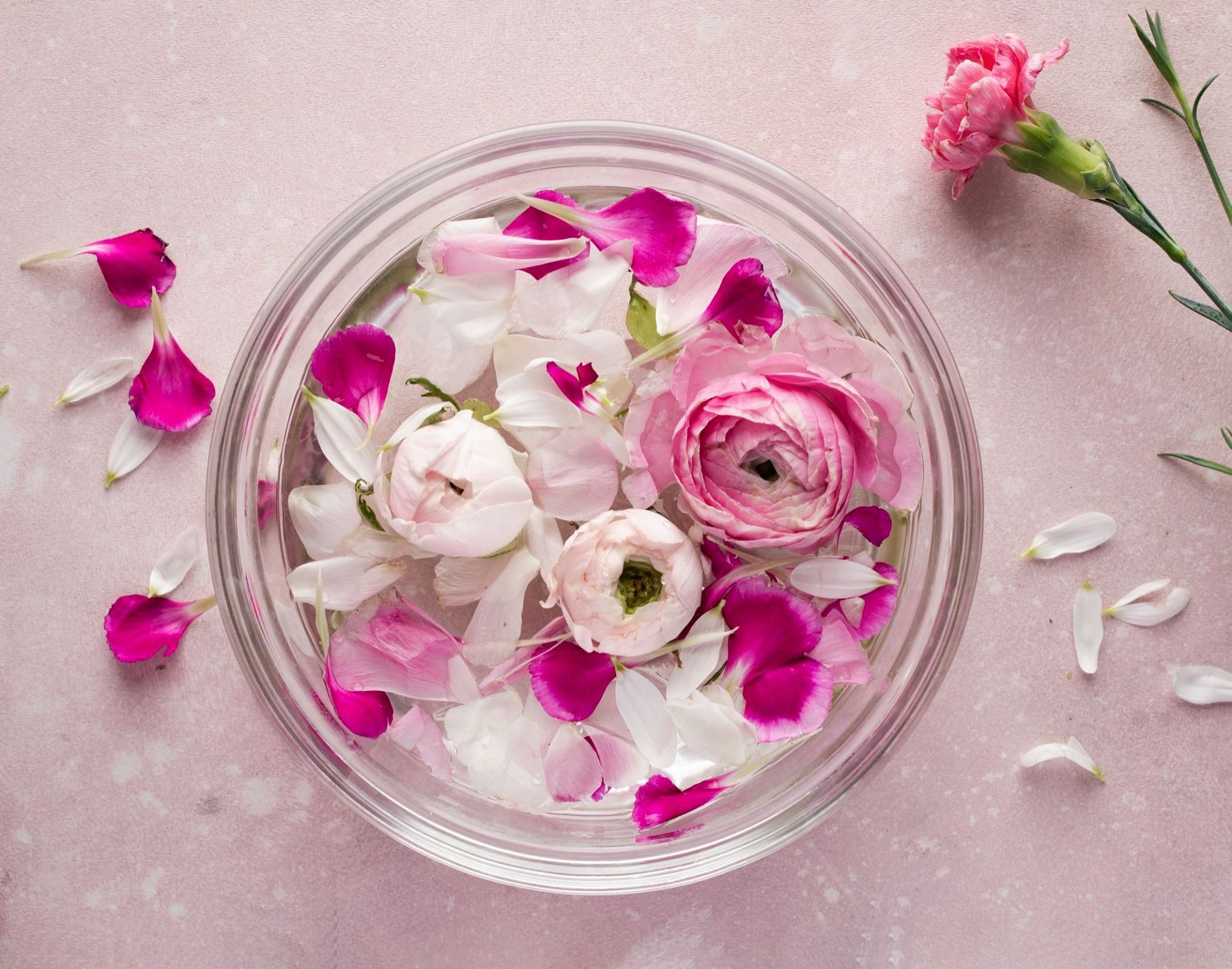 Rosewater toner for better skin (Image by Freepik)